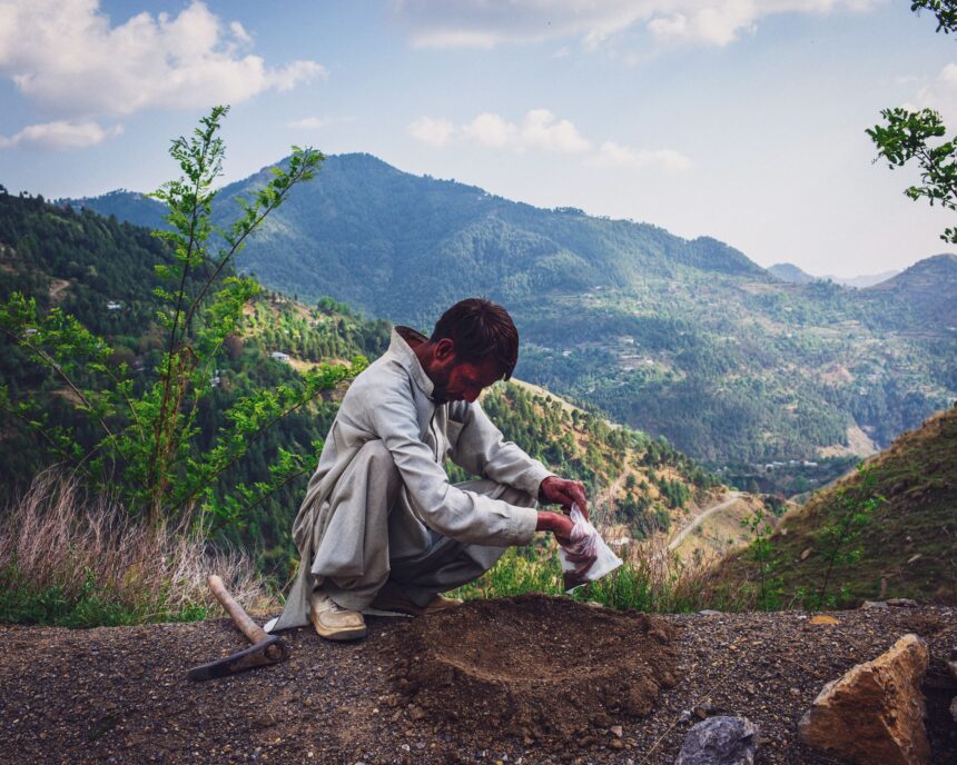 KP Billion Tree Tsunami Plus: Ambitious Reforestation Project