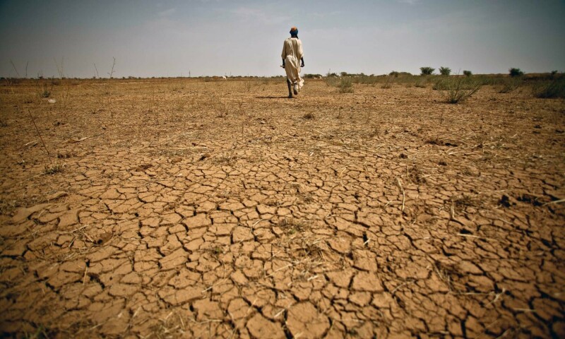 PM’s aide highlights threats from desertification - Pakistan