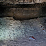 Egypt tomb find may shed light on ancient diseases - World