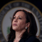 Top US Democrats fall in line as Harris steams towards election nomination - World