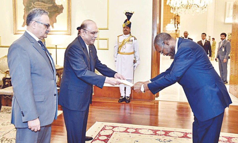 Envoys of 7 countries present diplomatic credentials to president - Pakistan