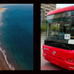 Does People Bus Service's New Route R13 Go to Hawkes Bay Beach?