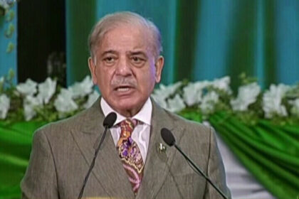 PM Shehbaz promises ‘significant cut’ in power tariffs - Pakistan