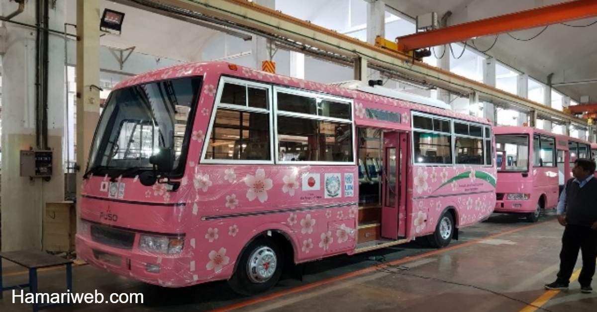 New Pink Bus Service for Women Coming to Islamabad: Check Launch Date!