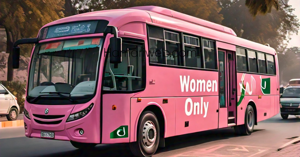 Pink Bus Service Islamabad: Routes and Timings Update!