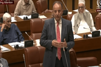 Minister Musadik Malik reassures PPP as it fumes over Irsa law changes - Pakistan