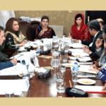 Senate panel irked by impunity in violence against women, children - Pakistan