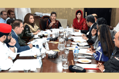 Senate panel irked by impunity in violence against women, children - Pakistan