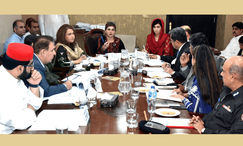 Senate panel irked by impunity in violence against women, children - Pakistan