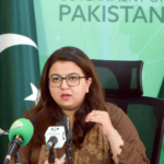 Pakistan’s high ranking in Global Cybersecurity Index good news for IT industry: minister - Pakistan