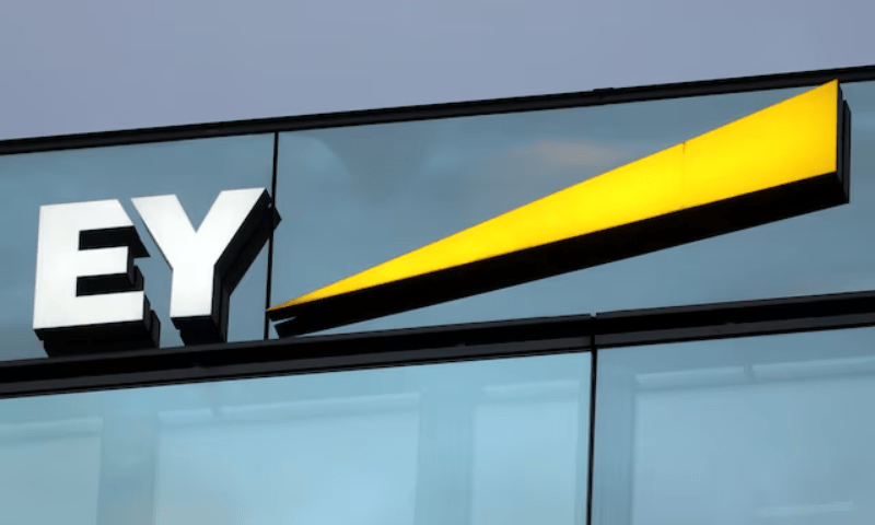 India probing EY’s ‘work environment’ after death of young employee - World